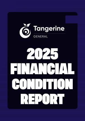 Financial Condition Report (2025)
