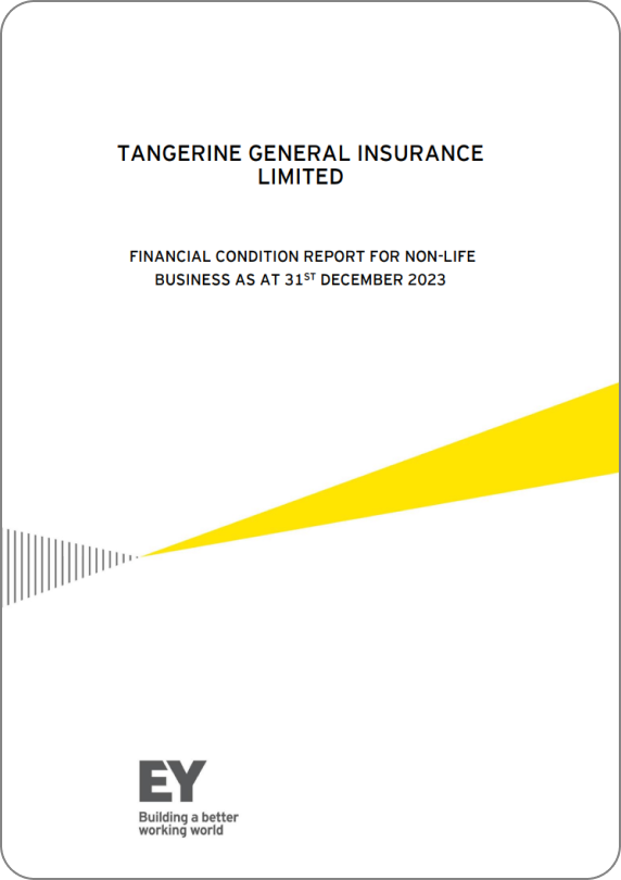 2023 Financial Condition Report